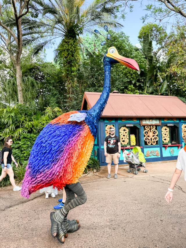 5 Best Rides for Toddlers at Animal Kingdom