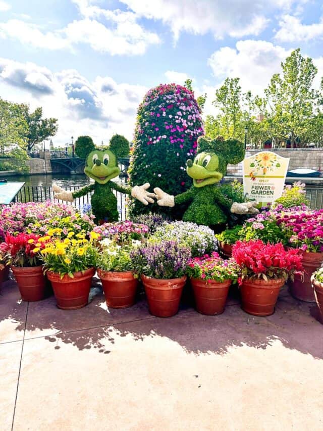 mickey and minnie flower and garden festival