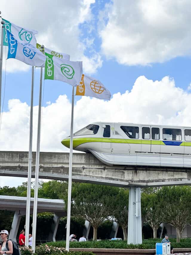 Disney’s Monorail: What You Need to Know Before You Go