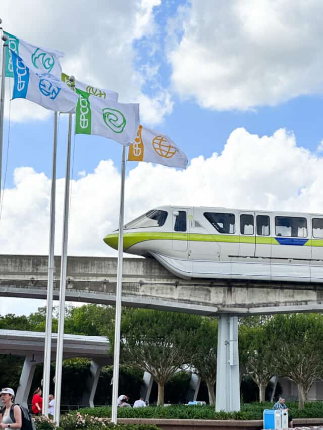 monorail and epcot flags