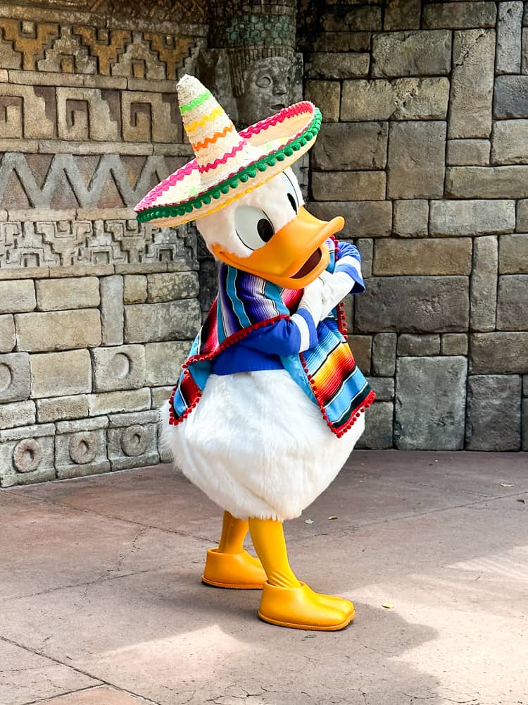 donald duck at epcot