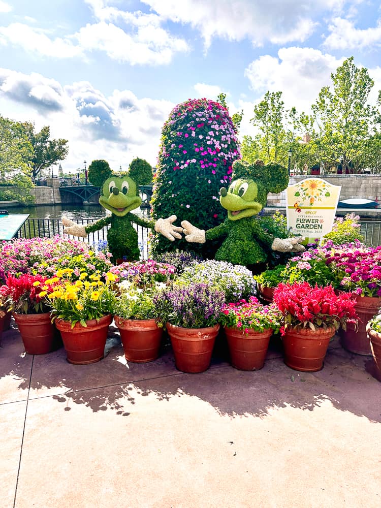 mickey and minnie flower and garden festival
