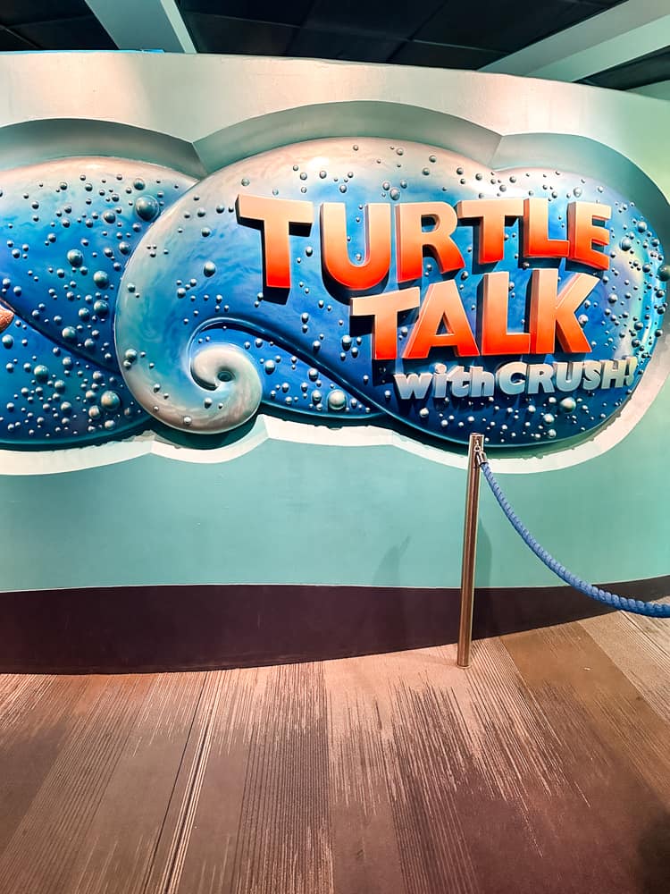 turtle talk with crush