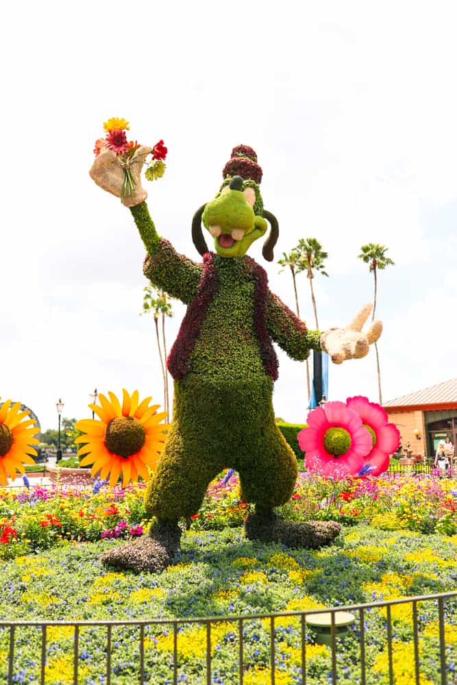 Goofy EPCOT flower festival