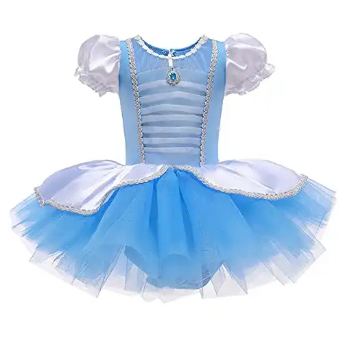 Cinderella Princess Ballerina Tutu Dress