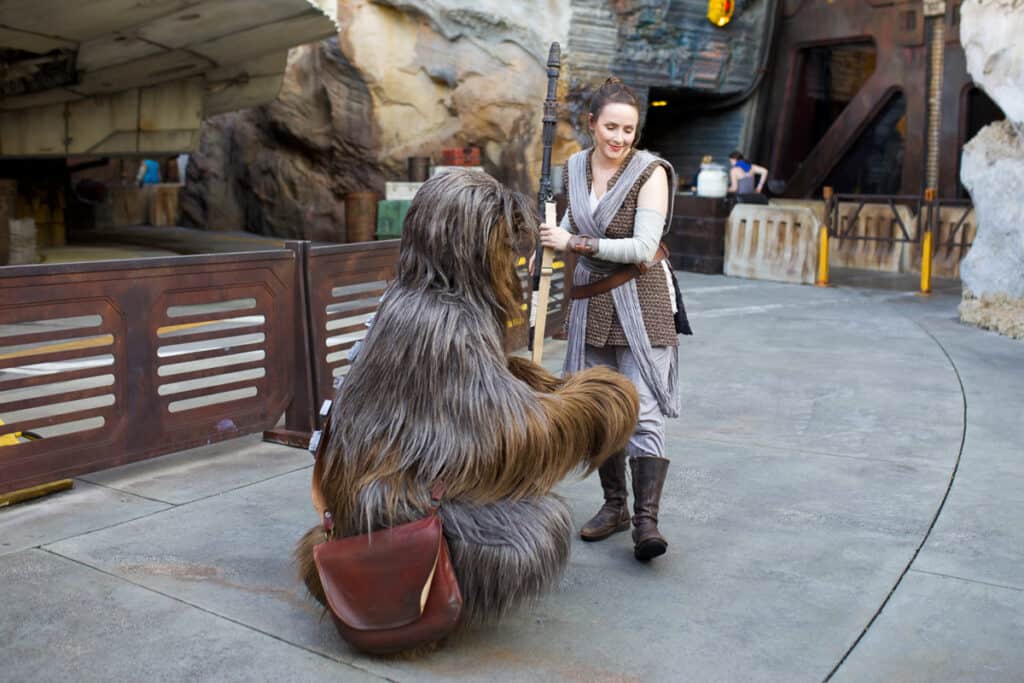 chewbacca and rey