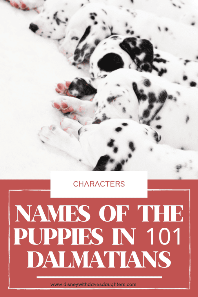 101 Dalmatian puppy names