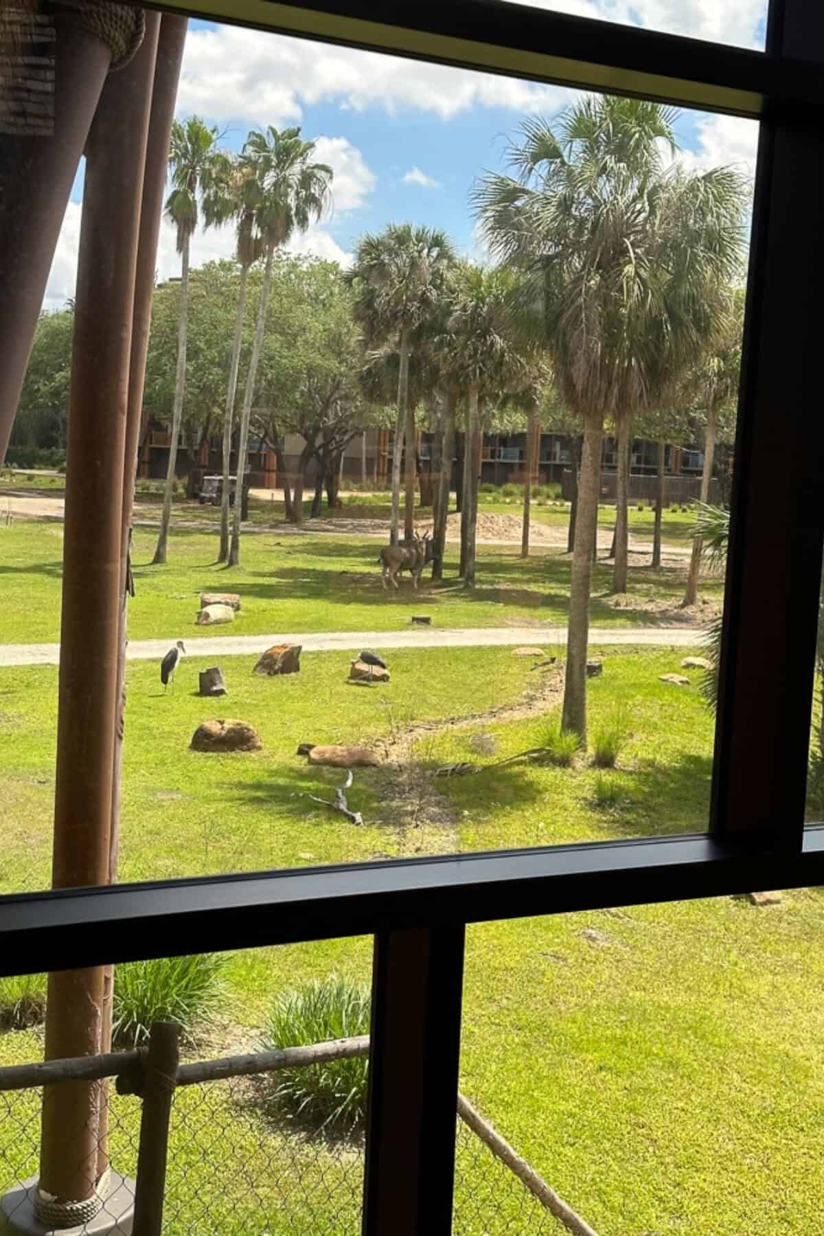 Animals outside animal kingdom lodge