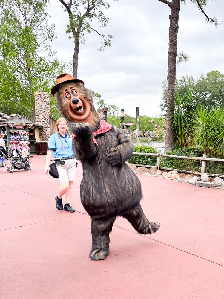 Country Bear Disney 