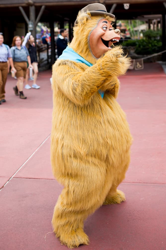 Country Bear Disney