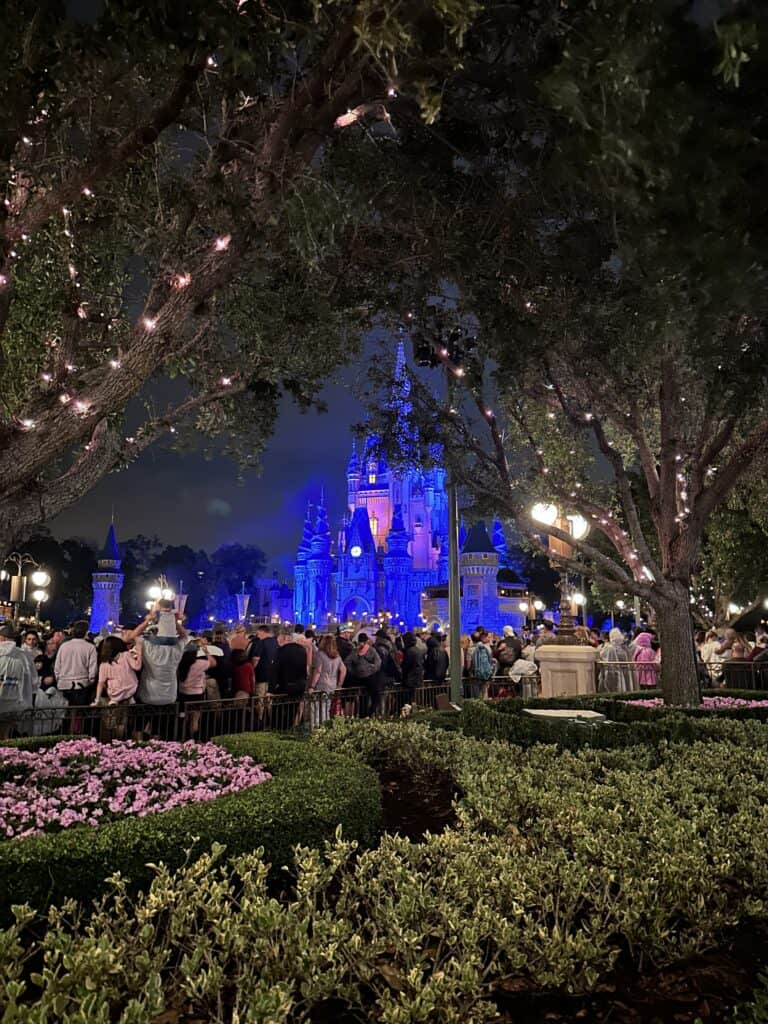 magic kingdom castle at night