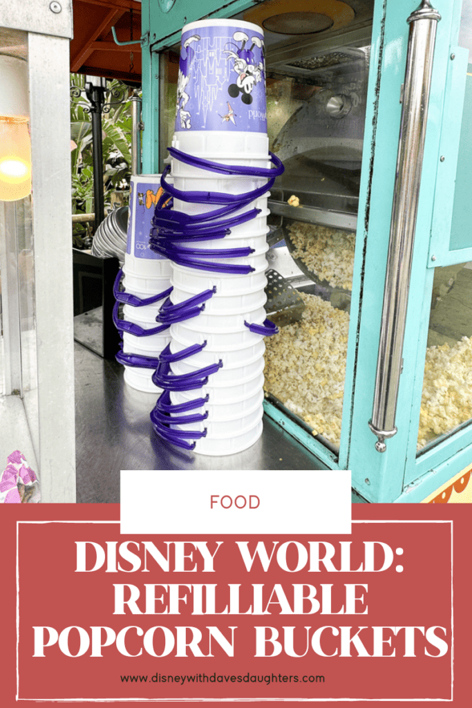 Disney World Popcorn Bucket