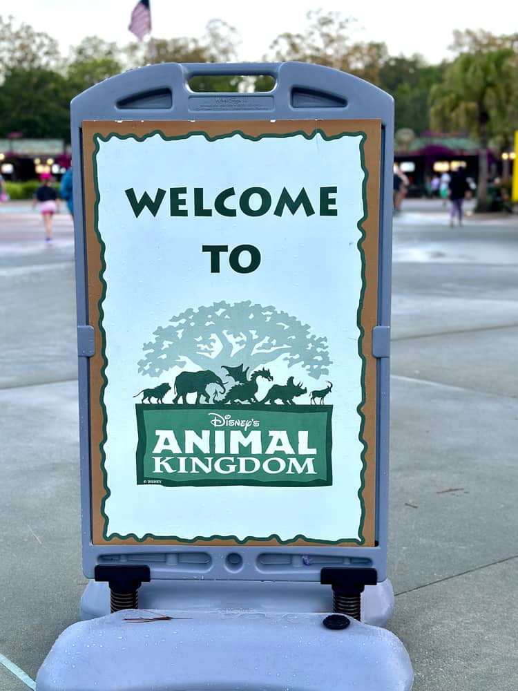 welcome to animal kingdom sign