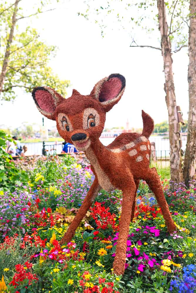 Bambi flower and garden festival