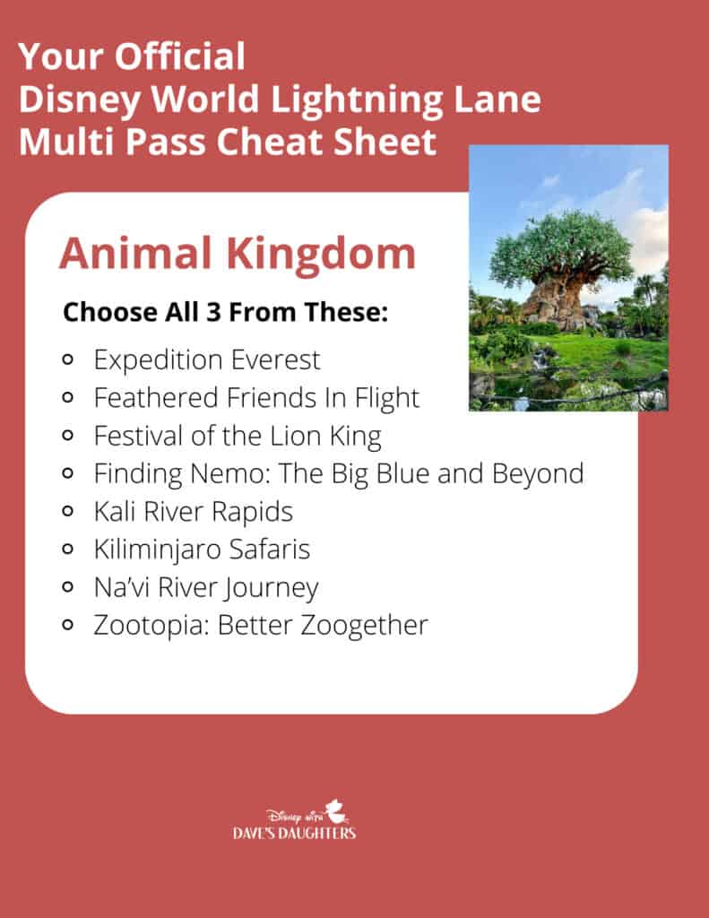 Lightning Lane Animal Kingdom