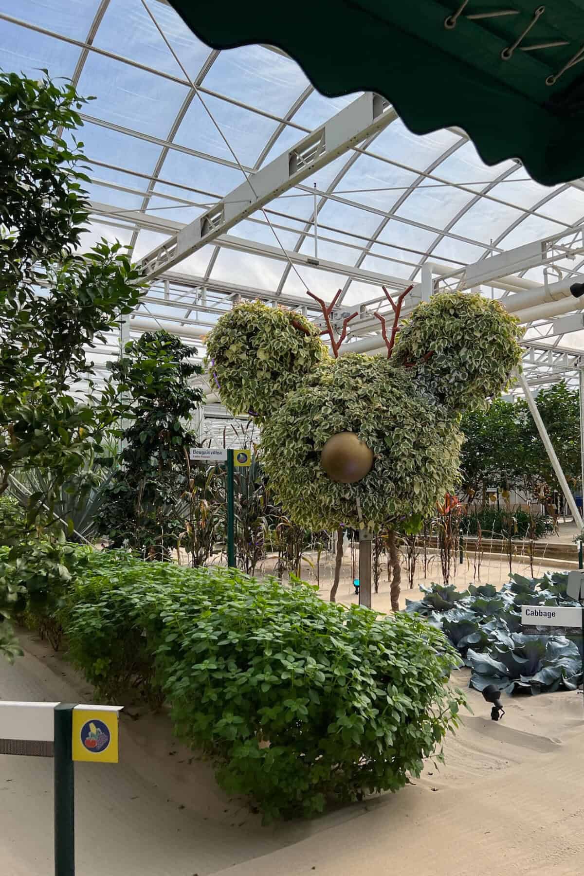 Christmas at Living With The Land