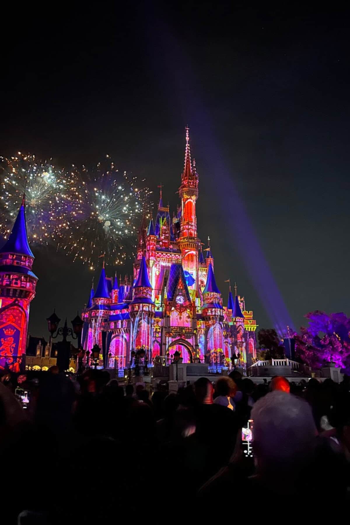 Fireworks in Magic Kingdom