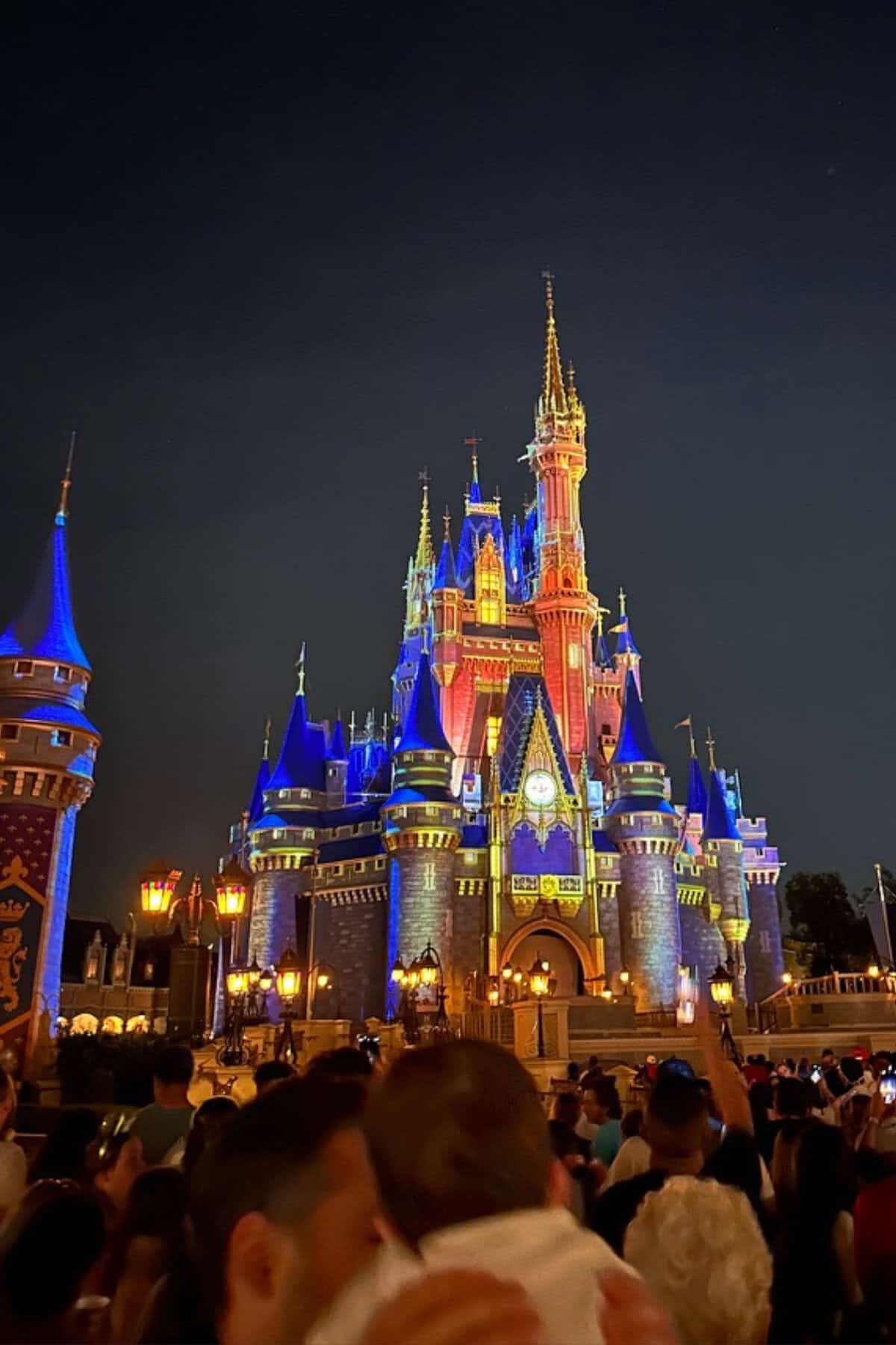 Magic Kingndom castle with projections