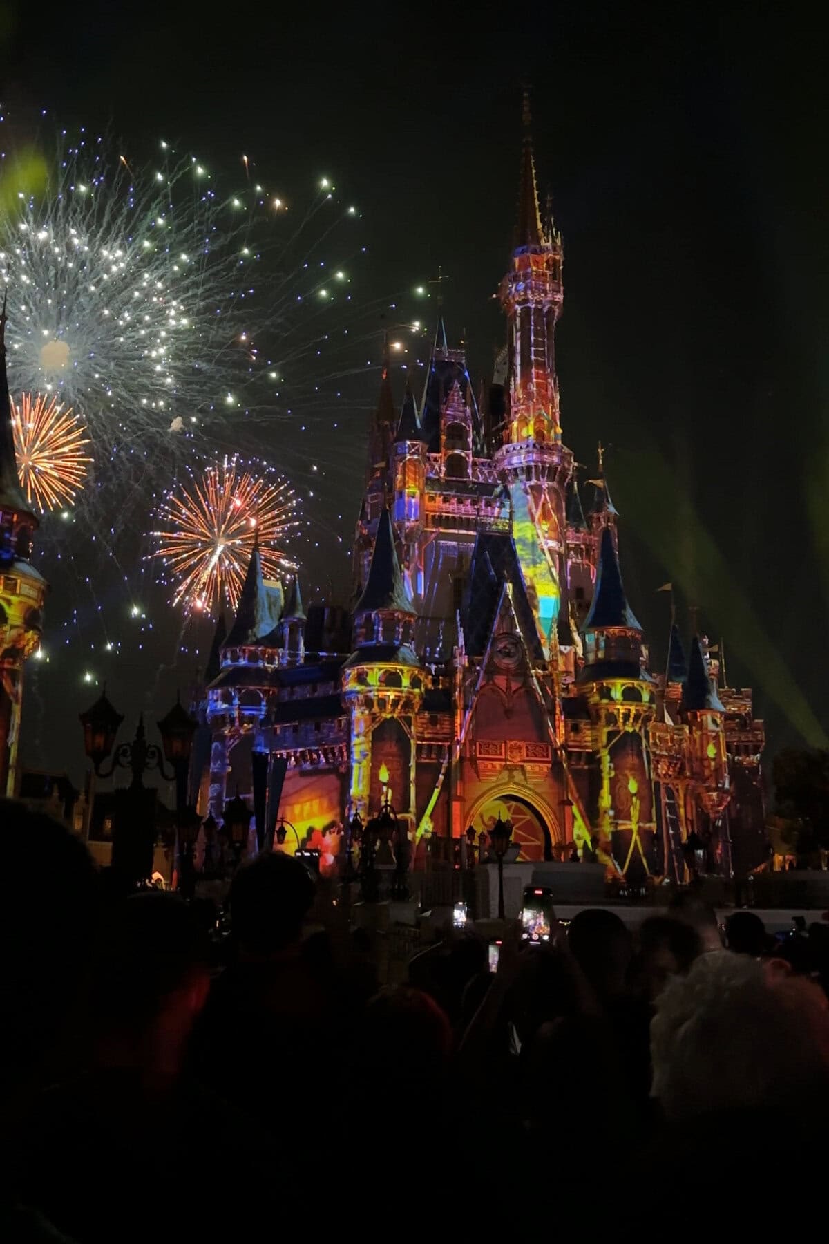 Fireworks in magic kingdom